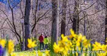 Wetter: Kalendarischer Frühling beginnt ungewöhnlich warm