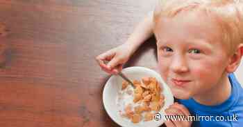 Parenting professor's morning regime avoids tantrums before breakfast