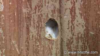 Gunshots ring out in Denton County neighborhood, bullet hits home narrowly missing sleeping teen