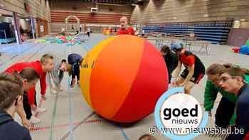 Van balsport tot boogschieten en torens bouwen: 200 personen leven zich uit tijdens G-sportdag