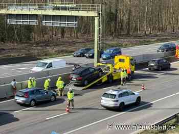 Zware verkeershinder op E313 door botsing met drie wagens: één persoon lichtgewond