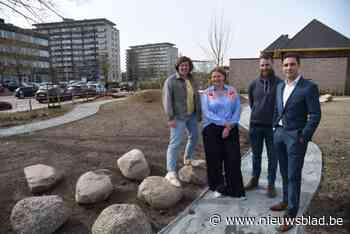 Parkeerplekken maken plaats voor groen parkje