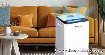 Debenhams cuts 75% off 'whisper-quiet' dehumidifier that 'removes every trace of mould and condensation'