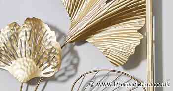 'Luxury' £20 Dunelm garden wall art adds 'elegance' to any garden for spring