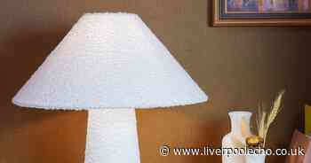 The Range's 'stunning' £17 lamp almost identical to £78 Oliver Bonas version