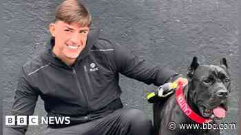 Love Island star wins dangerous dog appeal case