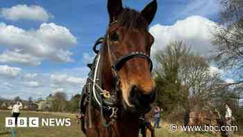 Future farmers told about the value of horse power