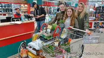 Wie der Frühlingsanfang in Helmstedt für volle Baumärkte sorgt
