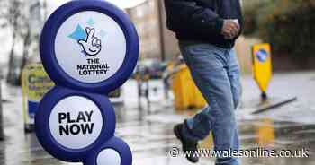 One National Lottery ticket-holder collects £11.7m in largest jackpot of 2025 so far