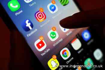 Government urged to ‘grasp the nettle’ on social media’s impact on young men