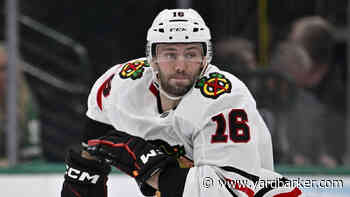 Blackhawks center out for season with wrist injury