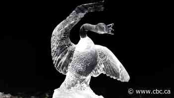 Those wild Canada goose-bald eagle fight photos continue to give chills — as an ice sculpture