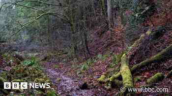 Forest of Dean closer to Unesco 'biosphere' status