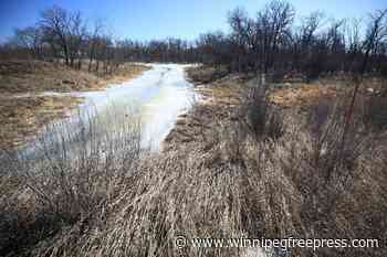 Councillor optimistic part of forest along Seine will survive after sale