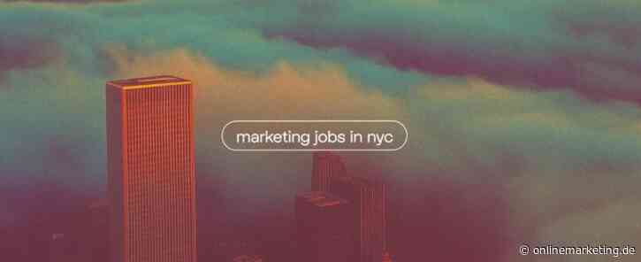 Bilder, Videos, Shopping, Jobs: Perplexity stellt Suchmodi à la Google für die Suche vor