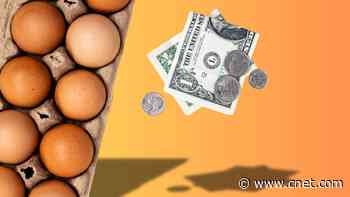 I’m Using My Tax Refund to Buy Eggs, Not Build My Nest Egg