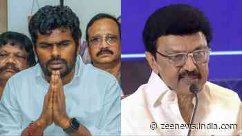 `Con Artist Scamming Rich And Poor`: Annamalai`s Fresh Attack On Stalin Over Language Policy Row