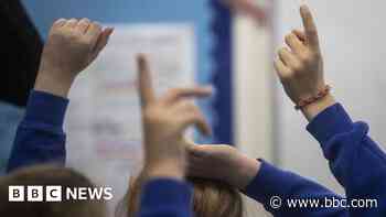 No capacity for town's SEND students - councillor