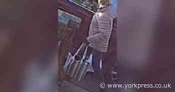 Car mounts pavement in North Yorkshire  - and police seek witness