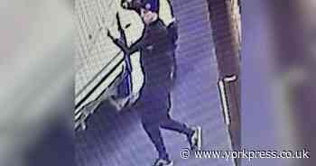 Ladders stolen in North Yorkshire