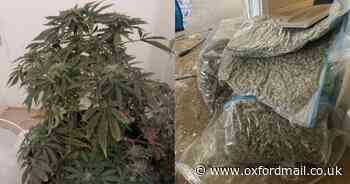 Arrest made after police discover 'large amount of cannabis' in property