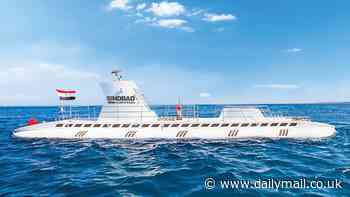 Egypt submarine disaster latest updates: Nationalities of first victims emerge as tourist vessel sinks in Red Sea