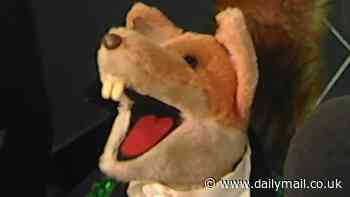 Basil Brush reflects on what he misses most about his TV career and reveals what happened when things went wrong on his iconic show