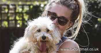 'Sweet and gentle' dog killed by suspected XL bully while on village walk