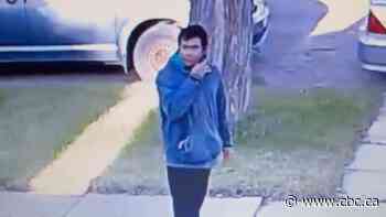 Conditional discharge, probation for man who harassed women in Saskatoon's Mayfair neighbourhood