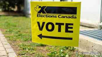 'We can't be left out:' Indigenous leaders want action, inclusion as election heats up