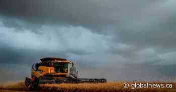 Trade, federal engagement key priorities for Saskatchewan agricultural sector