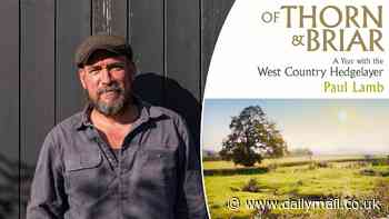 Of Thorn & Briar by Paul Lamb: Meet Instagram's hunky hedgelayer heartthrob