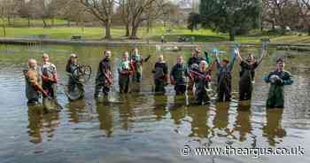 Bikes, scooter and footballs pulled from Brighton pond