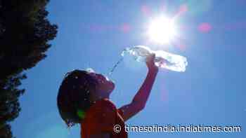 5 common health issues people face during summers and tips on how to stay safe