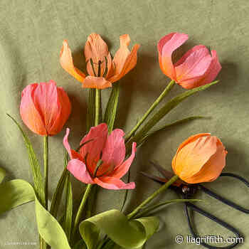 Video Workshop: Beginner Crepe Paper Tulips
