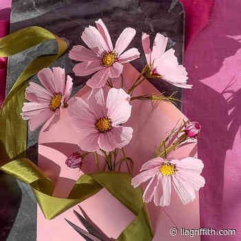 Member Make Workshop: Crepe Paper Cosmos