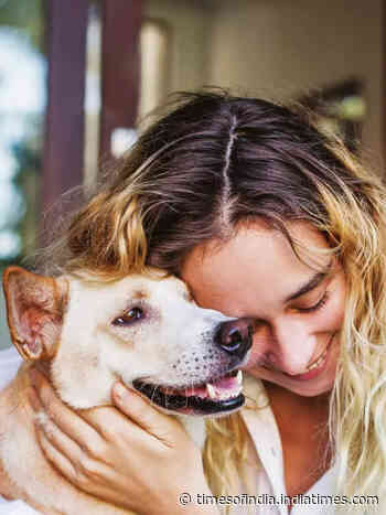 8 most intelligent pet dog breeds