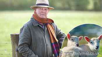 Spring by Michael Morpurgo: Salute to spring by our most beloved children's author