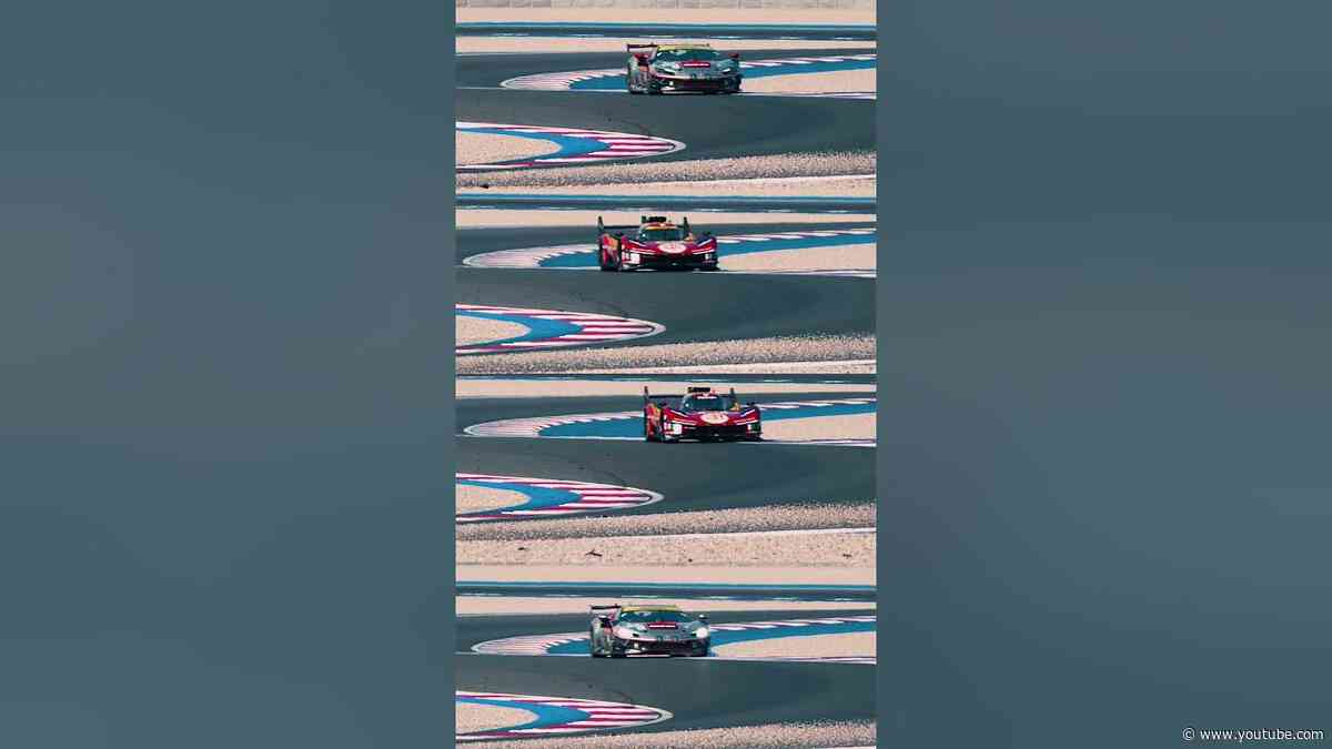 Why have one Ferrari when you can have four? 🤩 #WEC #Ferrari499P #Ferrari296GT3 #FerrariHypercar