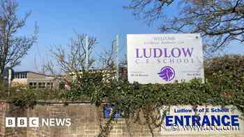 Ludlow school pulls out of work experience scheme