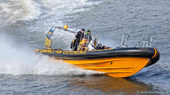 Half price offer on Thames Rib boat tours