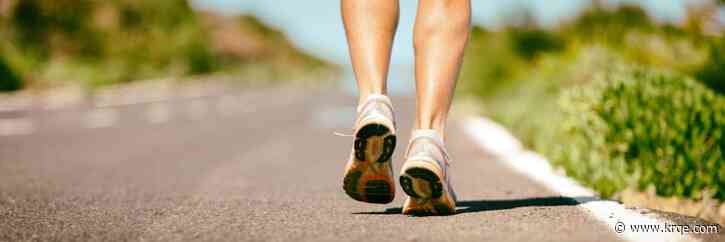 Run the Runway and Mutt Strutt 5k benefiting animal welfare