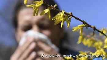 Heuschnupfen erkennen: Das sind die Symptome der Pollenallergie