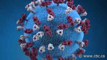Ontario's measles outbreak is so big, even New York health officials are taking notice