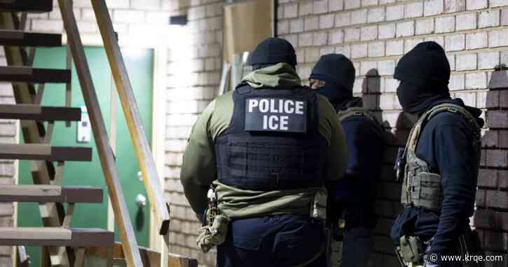 ICE agent impersonations spike in wake of immigration crackdown
