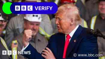 Is the US making $2bn a day from tariffs? Trump claims fact-checked