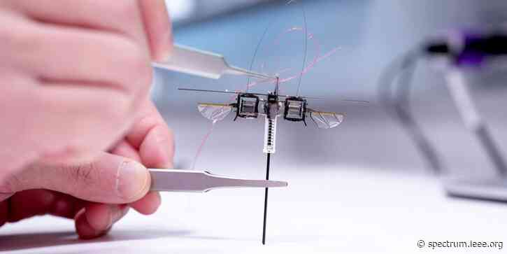 Video Friday: Tiny Robot Bug Hops and Jumps