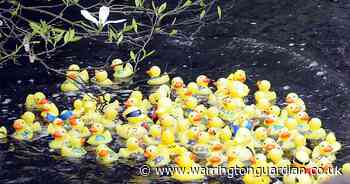 Popular Lymm Duck Race is back this Easter, here's the details and how to take part