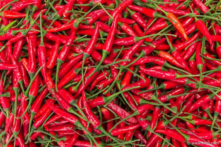 The only garden in New Mexico growing original No. 9 Chile this year