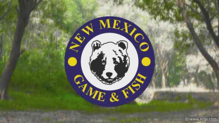 'The wildlife belongs to all of us here': A look into New Mexico's wildlife law violation checkpoints